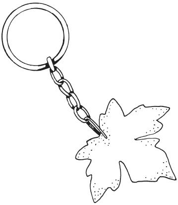 Иллюстрация к книге — Фелтинг. Удивительные поделки из свалянной шерсти [i_058.jpg]