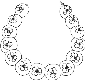 Иллюстрация к книге — Фелтинг. Удивительные поделки из свалянной шерсти [i_062.jpg]