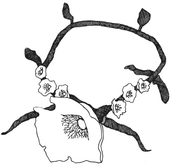 Иллюстрация к книге — Фелтинг. Удивительные поделки из свалянной шерсти [i_069.jpg]