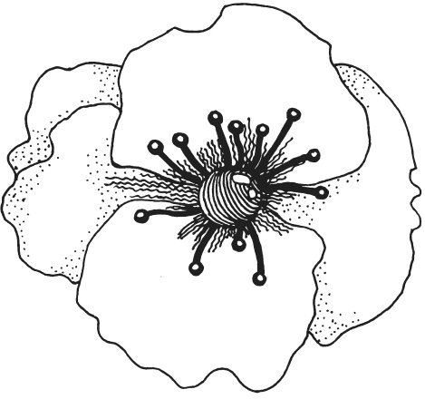 Иллюстрация к книге — Фелтинг. Удивительные поделки из свалянной шерсти [i_076.jpg]