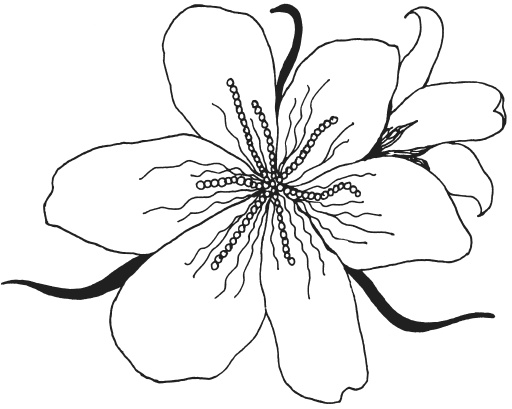 Иллюстрация к книге — Фелтинг. Удивительные поделки из свалянной шерсти [i_078.jpg]