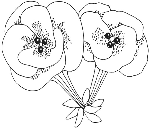 Иллюстрация к книге — Фелтинг. Удивительные поделки из свалянной шерсти [i_080.jpg]