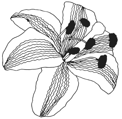 Иллюстрация к книге — Фелтинг. Удивительные поделки из свалянной шерсти [i_081.jpg]