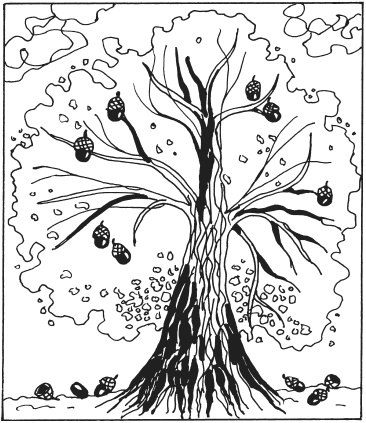 Иллюстрация к книге — Фелтинг. Удивительные поделки из свалянной шерсти [i_087.jpg]