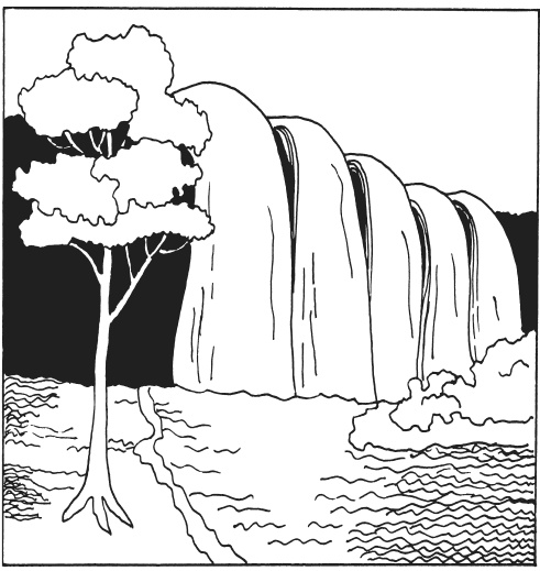 Иллюстрация к книге — Фелтинг. Удивительные поделки из свалянной шерсти [i_088.jpg]