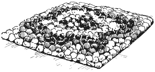 Иллюстрация к книге — Поделки из ниток, пуговиц, бусин [i_024.jpg]