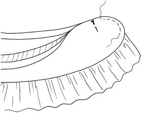 Иллюстрация к книге — Великолепные модели штор и гардин [_52.jpg]