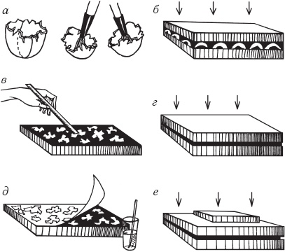 Иллюстрация к книге — Цветы и деревья из яичной скорлупы и бисера [_01.jpg]