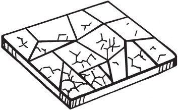 Иллюстрация к книге — Цветы и деревья из яичной скорлупы и бисера [_06_.jpg]