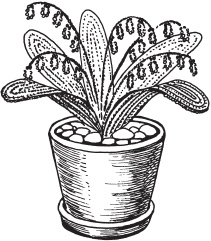 Иллюстрация к книге — Цветы и деревья из яичной скорлупы и бисера [_101.jpg]