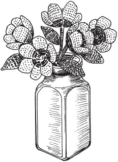 Иллюстрация к книге — Цветы и деревья из яичной скорлупы и бисера [_106.jpg]