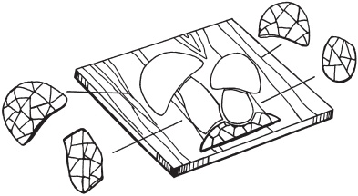 Иллюстрация к книге — Цветы и деревья из яичной скорлупы и бисера [_12.jpg]
