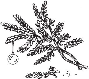 Иллюстрация к книге — Цветы и деревья из яичной скорлупы и бисера [_123.jpg]