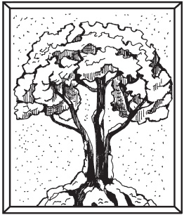 Иллюстрация к книге — Цветы и деревья из яичной скорлупы и бисера [_33.jpg]