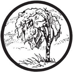 Иллюстрация к книге — Цветы и деревья из яичной скорлупы и бисера [_35.jpg]