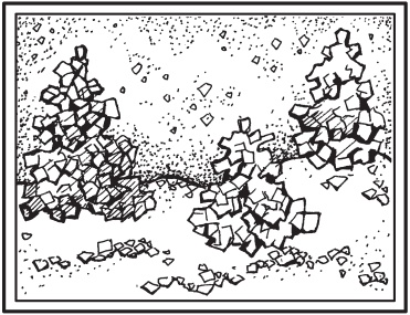 Иллюстрация к книге — Цветы и деревья из яичной скорлупы и бисера [_39.jpg]