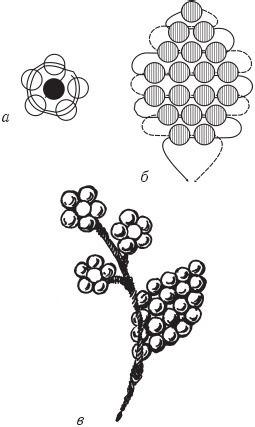 Иллюстрация к книге — Цветы и деревья из яичной скорлупы и бисера [_85.jpg]