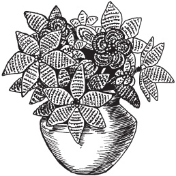 Иллюстрация к книге — Цветы и деревья из яичной скорлупы и бисера [_95.jpg]