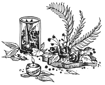 Иллюстрация к книге — Поделки из засушенных цветов и листьев [i_001.jpg]