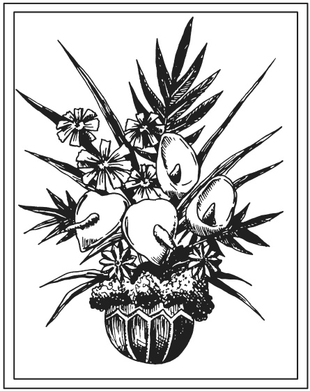 Иллюстрация к книге — Поделки из засушенных цветов и листьев [i_003.jpg]