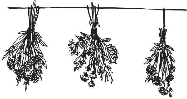 Иллюстрация к книге — Поделки из засушенных цветов и листьев [i_008.jpg]