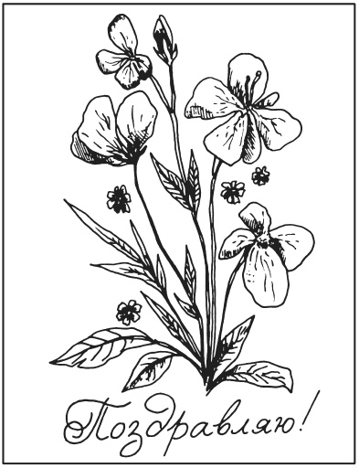 Иллюстрация к книге — Поделки из засушенных цветов и листьев [i_009.jpg]