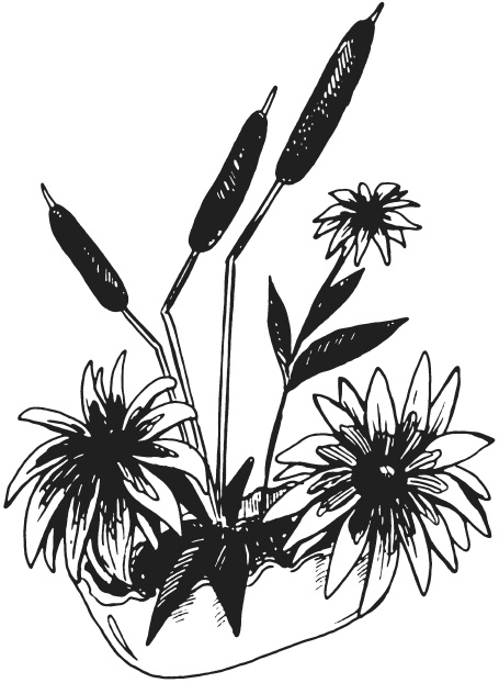 Иллюстрация к книге — Поделки из засушенных цветов и листьев [i_039.jpg]