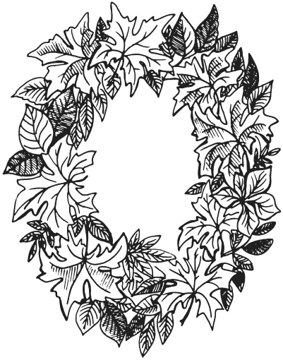 Иллюстрация к книге — Поделки из засушенных цветов и листьев [i_044.jpg]