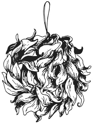 Иллюстрация к книге — Поделки из засушенных цветов и листьев [i_055.jpg]