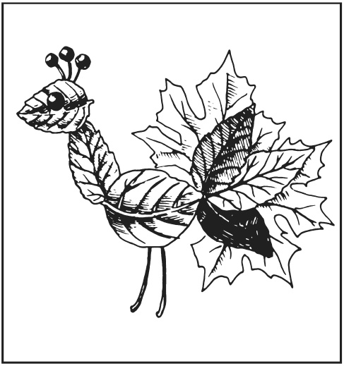 Иллюстрация к книге — Поделки из засушенных цветов и листьев [i_056.jpg]