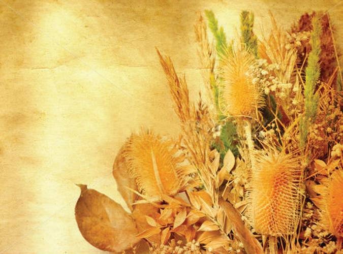 Иллюстрация к книге — Поделки из засушенных цветов и листьев [i_077.jpg]