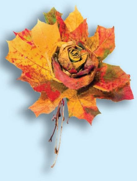 Иллюстрация к книге — Поделки из засушенных цветов и листьев [i_082.jpg]