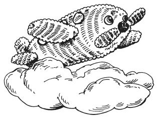 Иллюстрация к книге — Игрушки амигуруми [i_046.jpg]