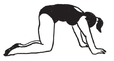 Иллюстрация к книге — Все для превращения тушки в фигурку [i_072.jpg]