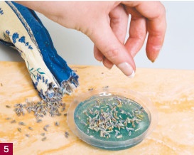 Иллюстрация к книге — Мыло своими руками [i_030.jpg]