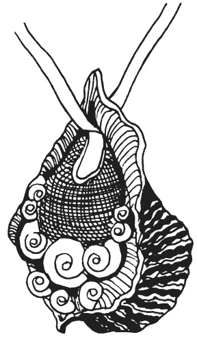 Иллюстрация к книге — Поделки из морских камешков и ракушек [_20130820_151443.jpg]