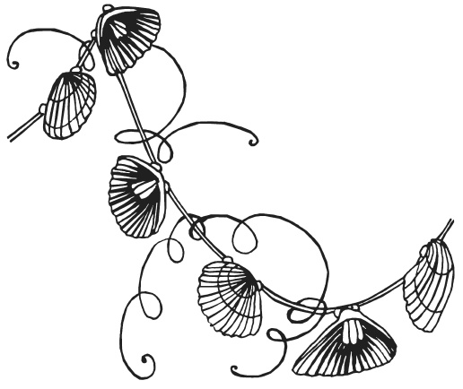 Иллюстрация к книге — Поделки из морских камешков и ракушек [_20130820_151538.jpg]