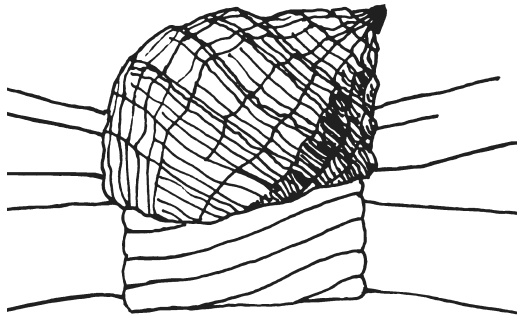 Иллюстрация к книге — Поделки из морских камешков и ракушек [_20130820_151814.jpg]