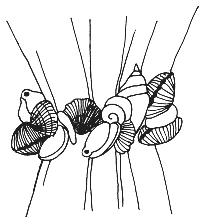 Иллюстрация к книге — Поделки из морских камешков и ракушек [_20130820_151846.jpg]