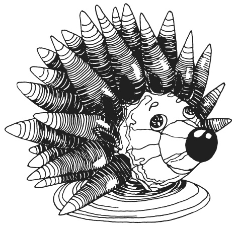 Иллюстрация к книге — Поделки из морских камешков и ракушек [_20130820_152420.jpg]