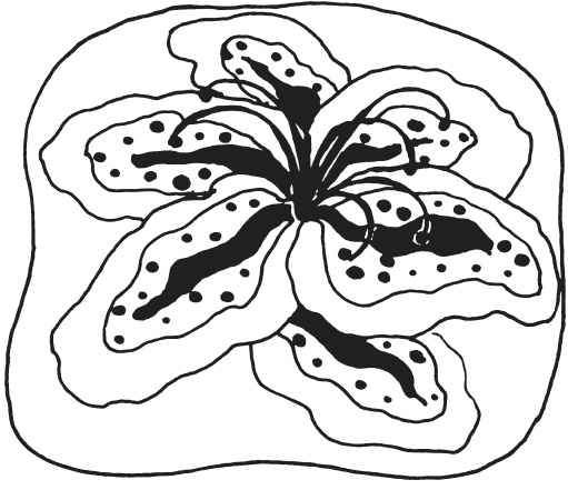 Иллюстрация к книге — Поделки из морских камешков и ракушек [_20130820_152859.jpg]