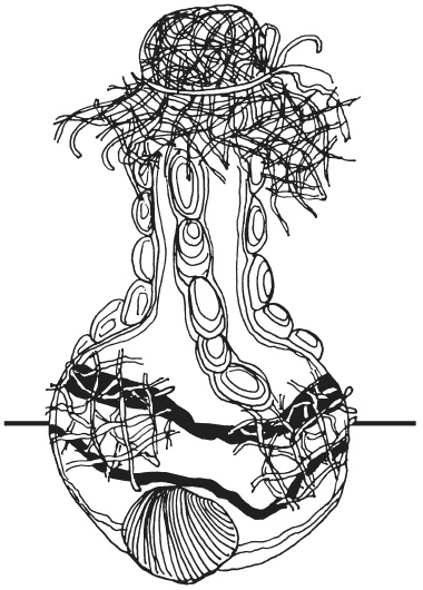 Иллюстрация к книге — Поделки из морских камешков и ракушек [_20130820_153233.jpg]