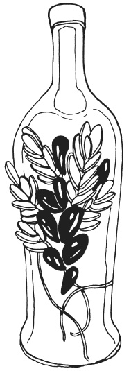 Иллюстрация к книге — Поделки из морских камешков и ракушек [_20130820_153303.jpg]