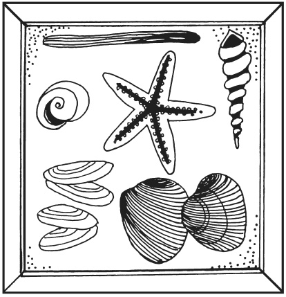 Иллюстрация к книге — Поделки из морских камешков и ракушек [_20130820_153522.jpg]