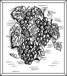 Иллюстрация к книге — Соленое тесто. Поделки, игрушки, сувениры, панно, фоторамки [i_014.jpg]