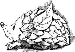 Иллюстрация к книге — Соленое тесто. Поделки, игрушки, сувениры, панно, фоторамки [i_036.jpg]