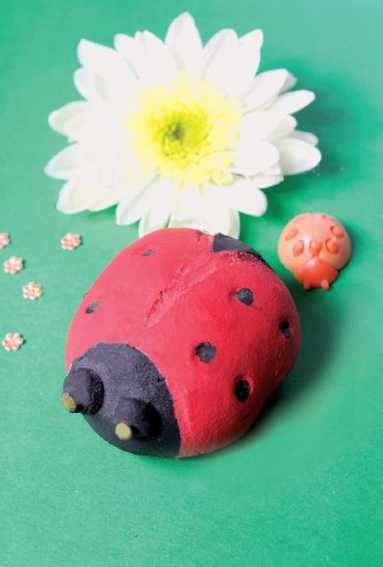 Иллюстрация к книге — Соленое тесто. Поделки, игрушки, сувениры, панно, фоторамки [i_075.jpg]