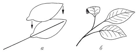 Иллюстрация к книге — Поделки из бумаги, игрушки, сувениры и подарки [i_069.jpg]