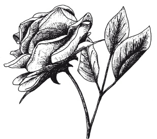 Иллюстрация к книге — Поделки из бумаги, игрушки, сувениры и подарки [i_070.jpg]