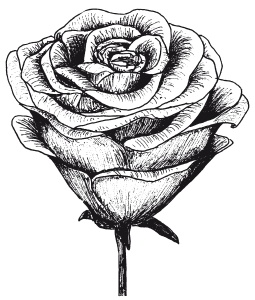 Иллюстрация к книге — Поделки из бумаги, игрушки, сувениры и подарки [i_073.jpg]